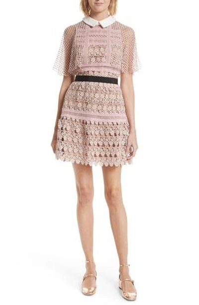 Shop Self-portrait Floral Vine Cape Minidress In Blush