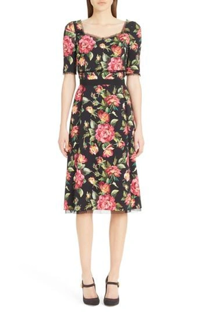 Shop Dolce & Gabbana Rose Print Cady A-line Dress