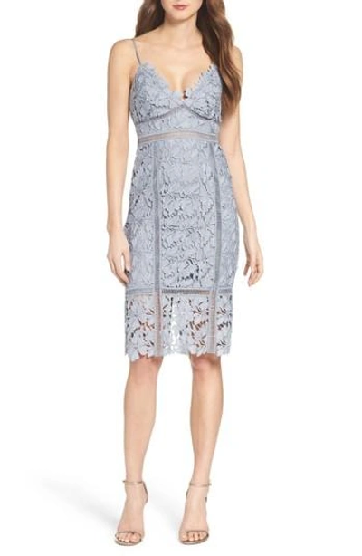 Shop Bardot Botanica Lace Dress In Dusty Blue