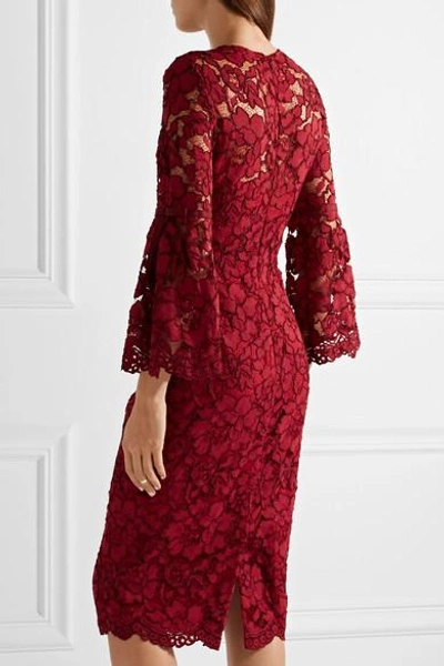 Shop Lela Rose Grosgrain-trimmed Corded Lace Midi Dress In Claret