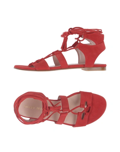 Shop Stuart Weitzman Sandals In Red