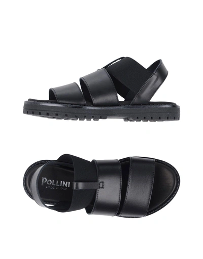 Shop Pollini Woman Sandals Black Size 6 Cowhide