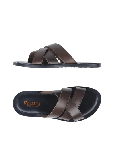 Shop Pollini Sandals In Dark Brown