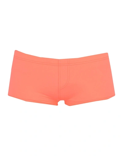 Shop Dsquared2 In Coral