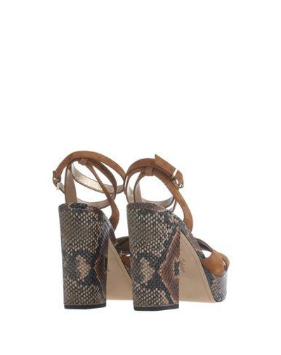 Shop Sam Edelman Sandals In Camel