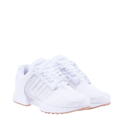 Shop Adidas Originals Climacool Sneakers In Whitegum