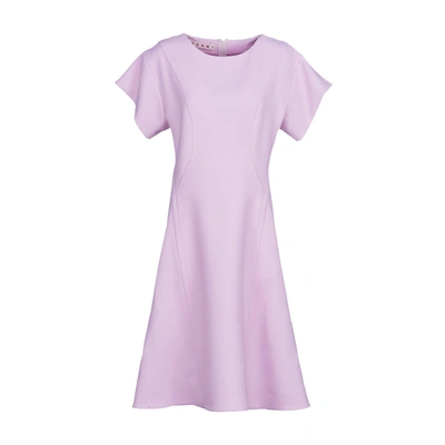 Shop Marni Short-sleeved Flared Dress In Light Pink