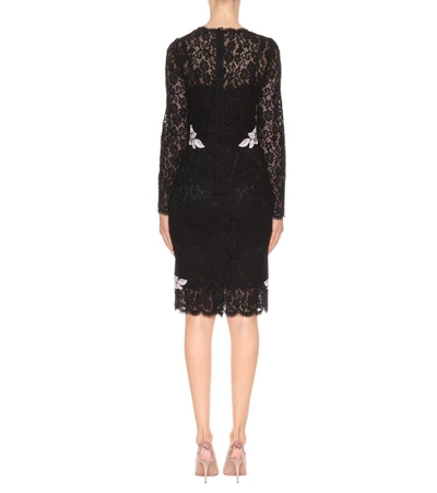 Shop Dolce & Gabbana Embroidered Lace Dress In Black