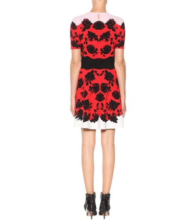 Shop Alexander Mcqueen Knitted Fit-and-flare Dress