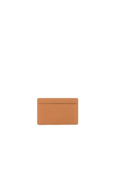 Shop Common Projects Cardholder In Brown