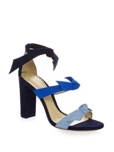 Shop Alexandre Birman Lolita Leather Sandals In Crystal Blue