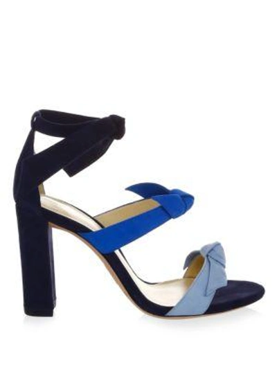 Shop Alexandre Birman Lolita Leather Sandals In Crystal Blue