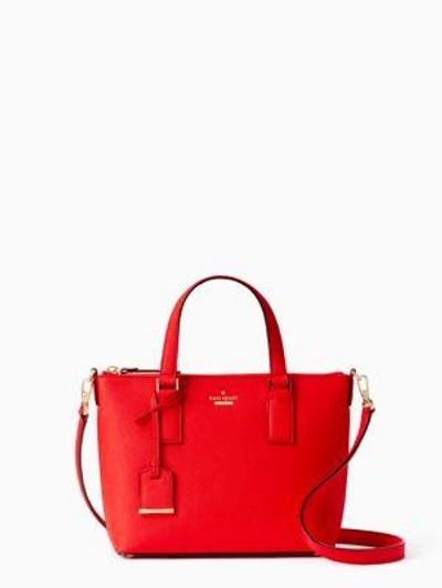 Shop Kate Spade Cameron Street Lucie Crossbody In Prickly Pear