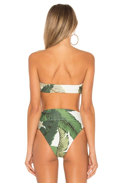 Shop Beach Riot X Revolve Sophie Bikini Top In Palm