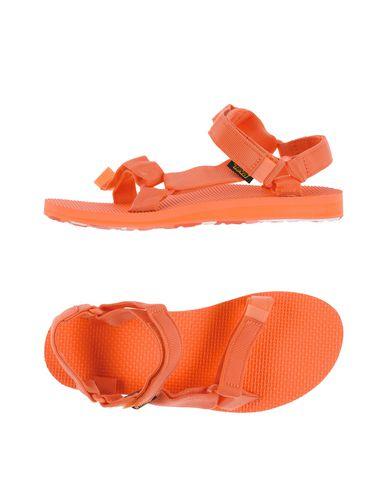 teva coral