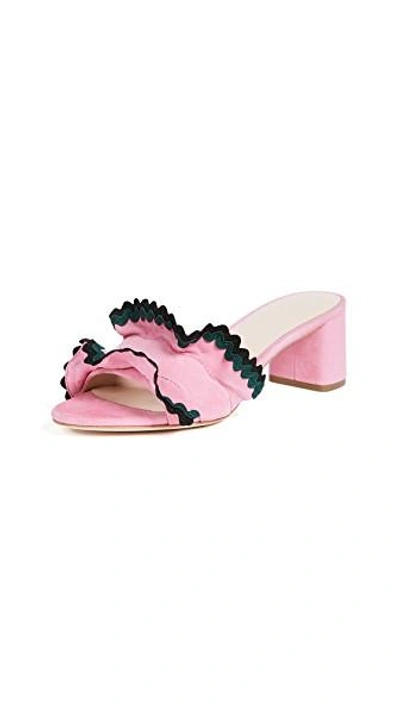 Shop Loeffler Randall Vera City Slide Sandals In Peony/multi