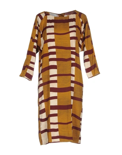 Shop Aglini Knee-length Dresses In Brown