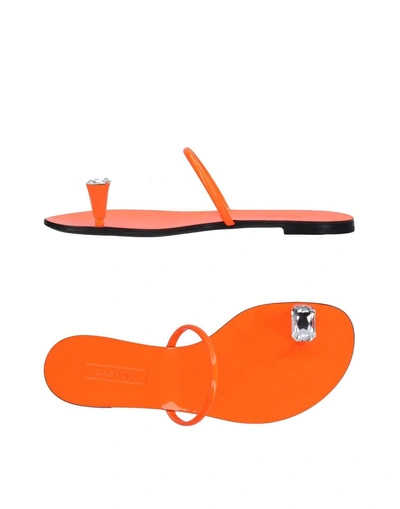 Shop Casadei Toe Strap Sandals In Orange
