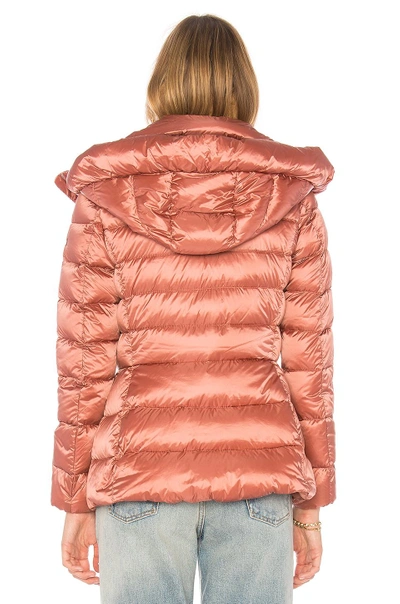 Shop Add Down Jacket In Red