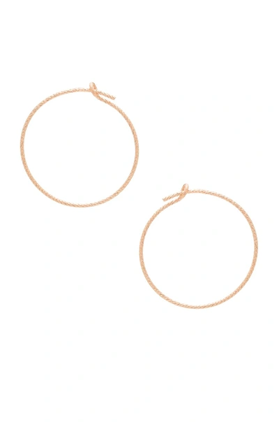 Shop Eight By Gjenmi Jewelry J Lo Small Hoop Earrings In Metallic Copper