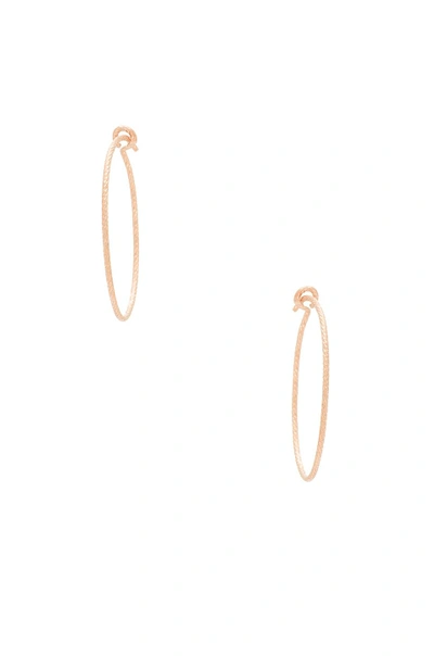 Shop Eight By Gjenmi Jewelry J Lo Small Hoop Earrings In Metallic Copper