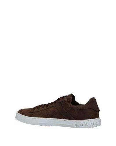 Shop Tod's Sneakers In Dark Brown