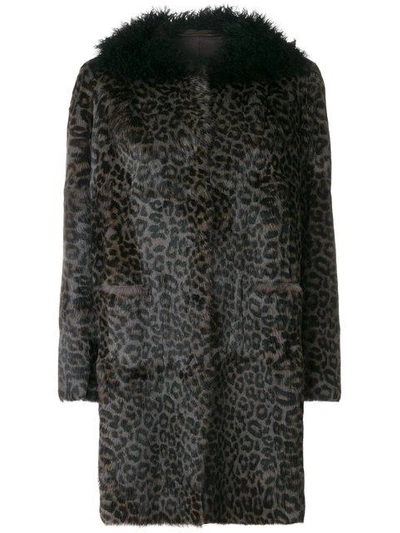 Shop Salvatore Santoro Leopard Print Fur Coat - Grey