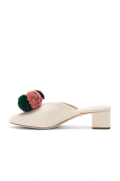 Loeffler Randall Lulu Pom-pom Canvas Mules In Natural & Multi