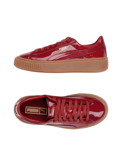 Shop Puma Sneakers In Maroon