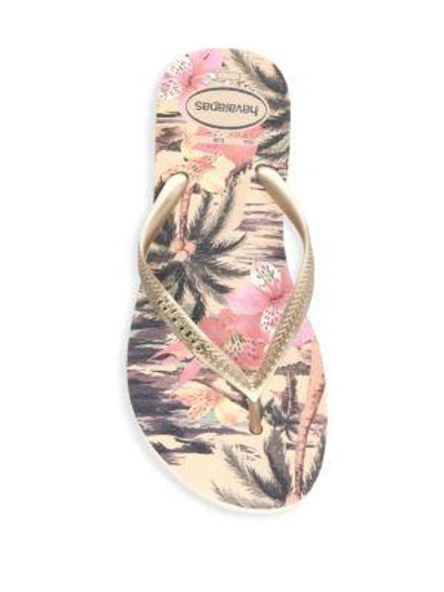 Shop Havaianas Slim Tropical Flip Flops In Ivory