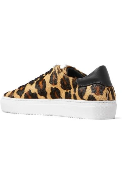 Shop Axel Arigato Tennis Leather-trimmed Leopard-print Calf Hair Sneakers