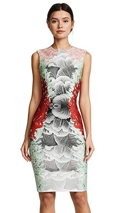 Shop Yigal Azrouël Coral Print Dress In Rosebud/scarlet/seafoam/grey