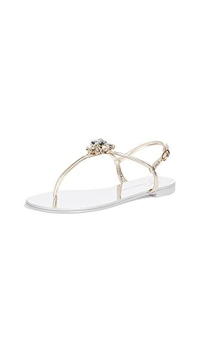 Shop Giuseppe Zanotti Flat Sandals In Sahara