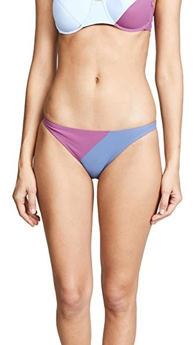 Shop Flagpole Electra Swim Bottoms In Bay/orchid/port