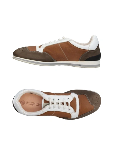 Shop Alberto Fasciani Sneakers In Brown