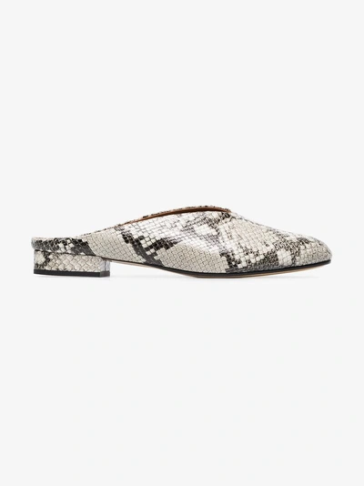 Shop Atp Atelier Snake Albi Leather Mules In Grey