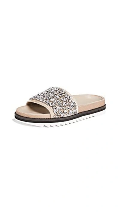 Shop Joie Jacory Slides In Fog