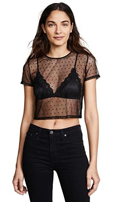 Shop Only Hearts Coucou Lola Crop Tee Black M