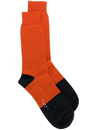 Shop Marni Colour Block Ankle Socks