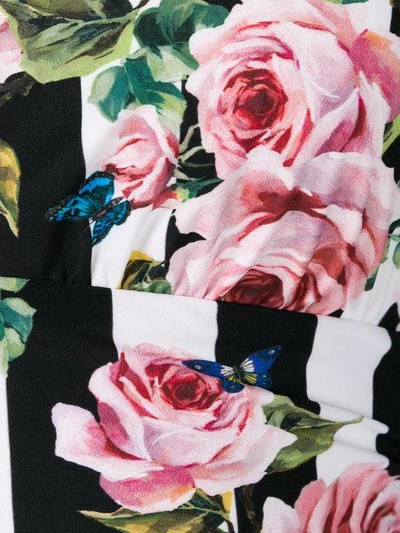 Shop Dolce & Gabbana Striped Rose Print Swimsuit - Black