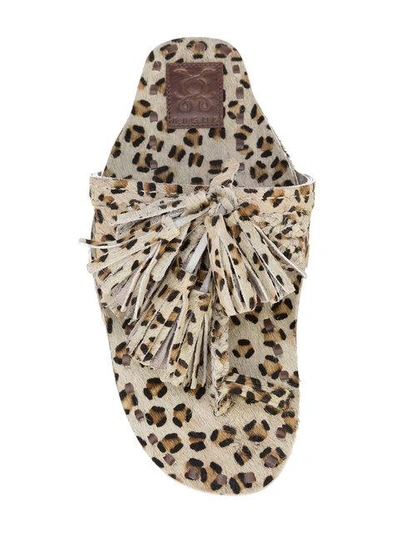 Shop Figue Scaramouche Cheetah Print Sandals