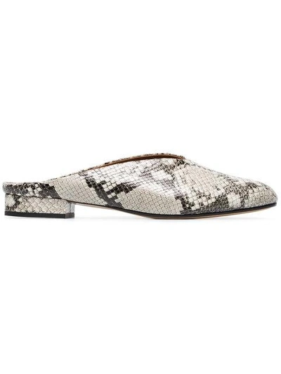 Shop Atp Atelier Snake Albi Leather Mules - Grey