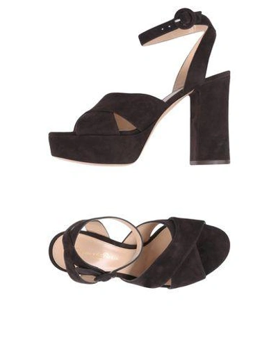 Shop Gianvito Rossi Sandals In Dark Brown