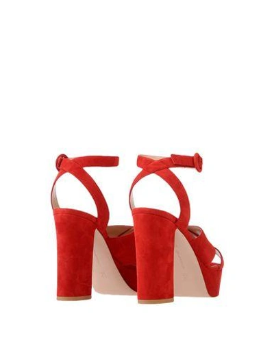 Shop Gianvito Rossi Sandals In Red