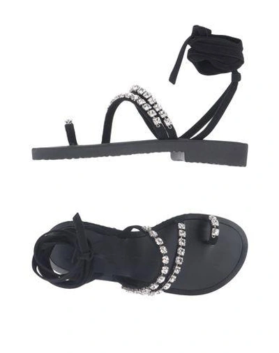 Shop Giuseppe Zanotti Flip Flops In Black