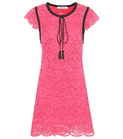 Shop Philosophy Di Lorenzo Serafini Cotton-blend Lace Dress In Pink