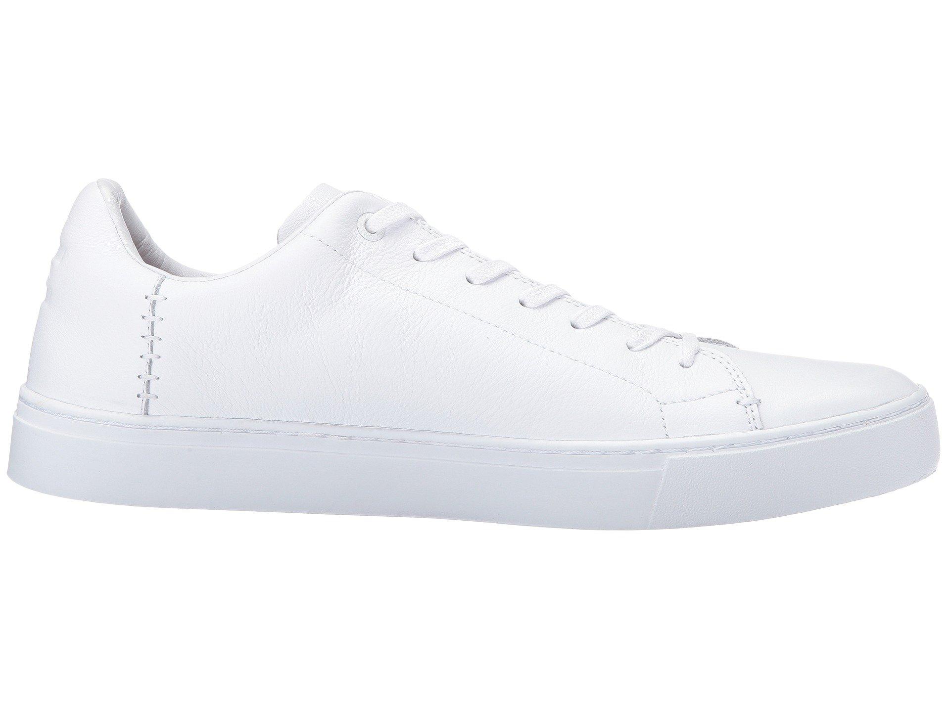toms lenox sneaker white