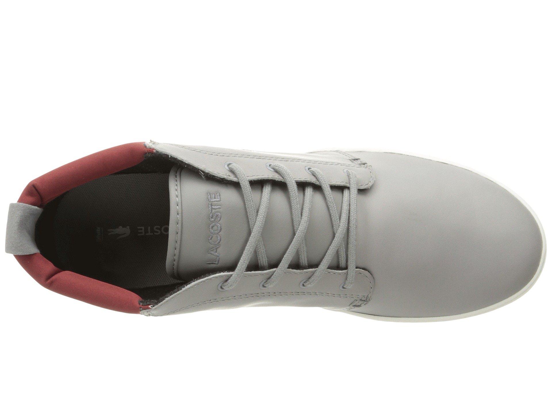lacoste ampthill terra 316 1