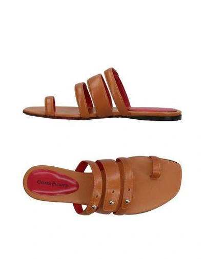 Shop Cesare Paciotti Toe Strap Sandals In Tan