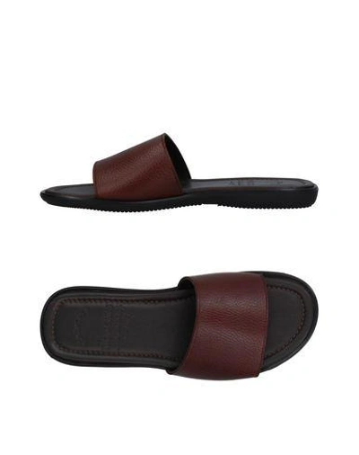 Shop Doucal's Sandals In Brown
